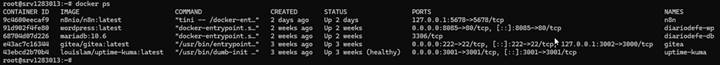 Docker Terminal
